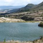 Sólo 6 estados se ‘iluminarán’ de verde