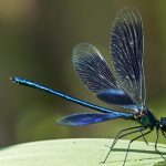 Doña Cuquita le hizo el feo a la novia de Vicente Fernández Jr, prefirió sentarse junto a Mara Patricia