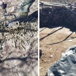 Cruz Roja Mexicana analiza envío de más rescatistas a Turquía