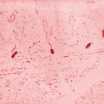 Militares sí dispararon a camioneta con jóvenes; cinco de ellos murieron, admite el Ejército