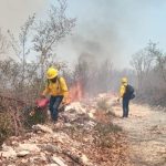 INM, rebasado; rol predominante en atención a migrantes debe ser ya de COMAR: Guillén