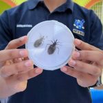 La Asociación Nacional de Transportistas amenaza con realizar paro nacional y bloqueos