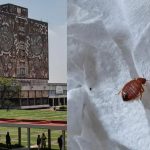 Entregan Nobel de Literatura al noruego Jon Fosse por sus innovadoras obras de teatro y prosa