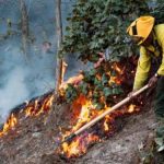 Avalan nuevas facultades para la SSPC