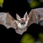 Llegan a un acuerdo para firmar divorcio