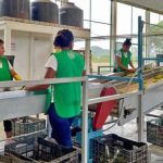 Tras pausa de aranceles, empresarios dan apoyo a Sheinbaum