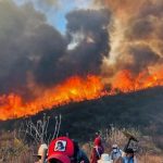 Senador de NY busca detener vuelos de empresa de helicópteros tras tragedia en río Hudson